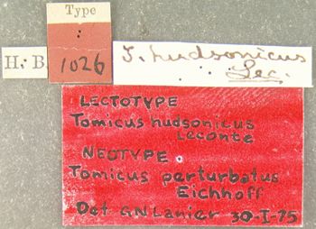 Media type: image; Entomology 1026   Aspect: labels